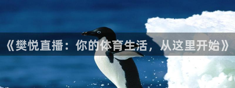 《樊悦直播：你的体育生活，从这里开始》