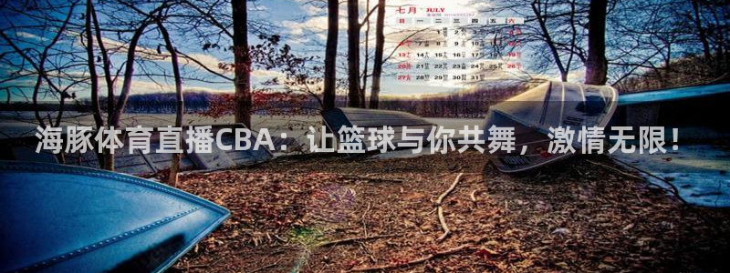 海豚体育直播CBA：让篮球与你共舞，激情无限！