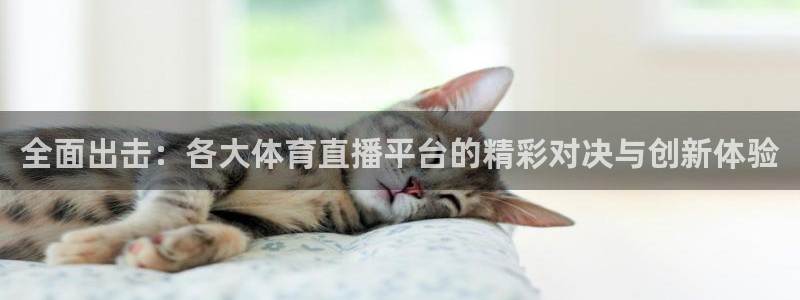 全面出击：各大体育直播平台的精彩对决与创新体验