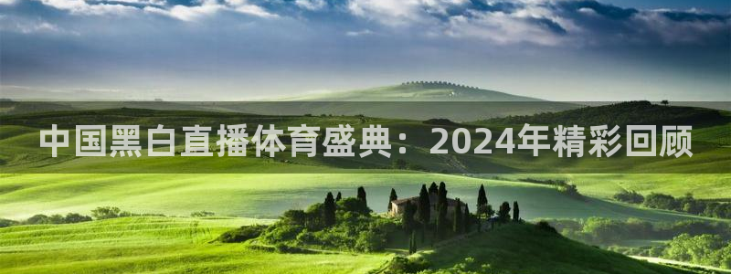 中国黑白直播体育盛典：2024年精彩回顾