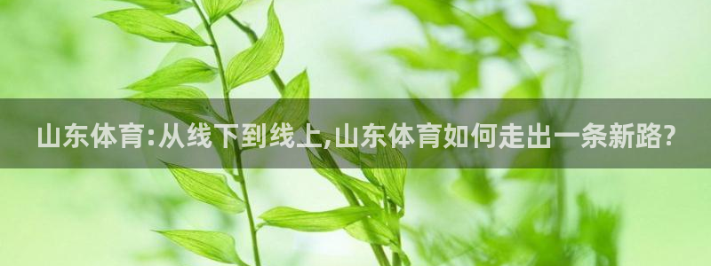 山东体育:从线下到线上,山东体育如何走出一条新路?