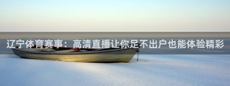 辽宁体育赛事：高清直播让你足不出户也能体验精彩