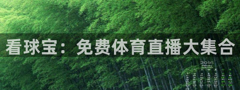 看球宝：免费体育直播大集合