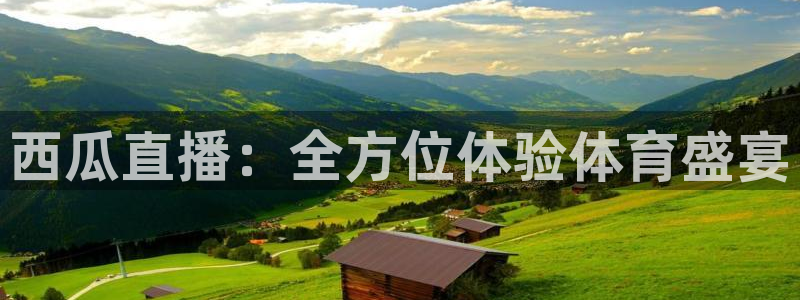 西瓜直播：全方位体验体育盛宴